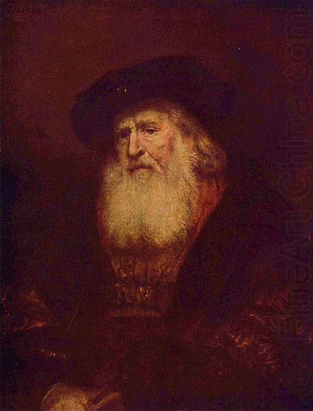 REMBRANDT Harmenszoon van Rijn Portrait of a Bearded Man china oil painting image